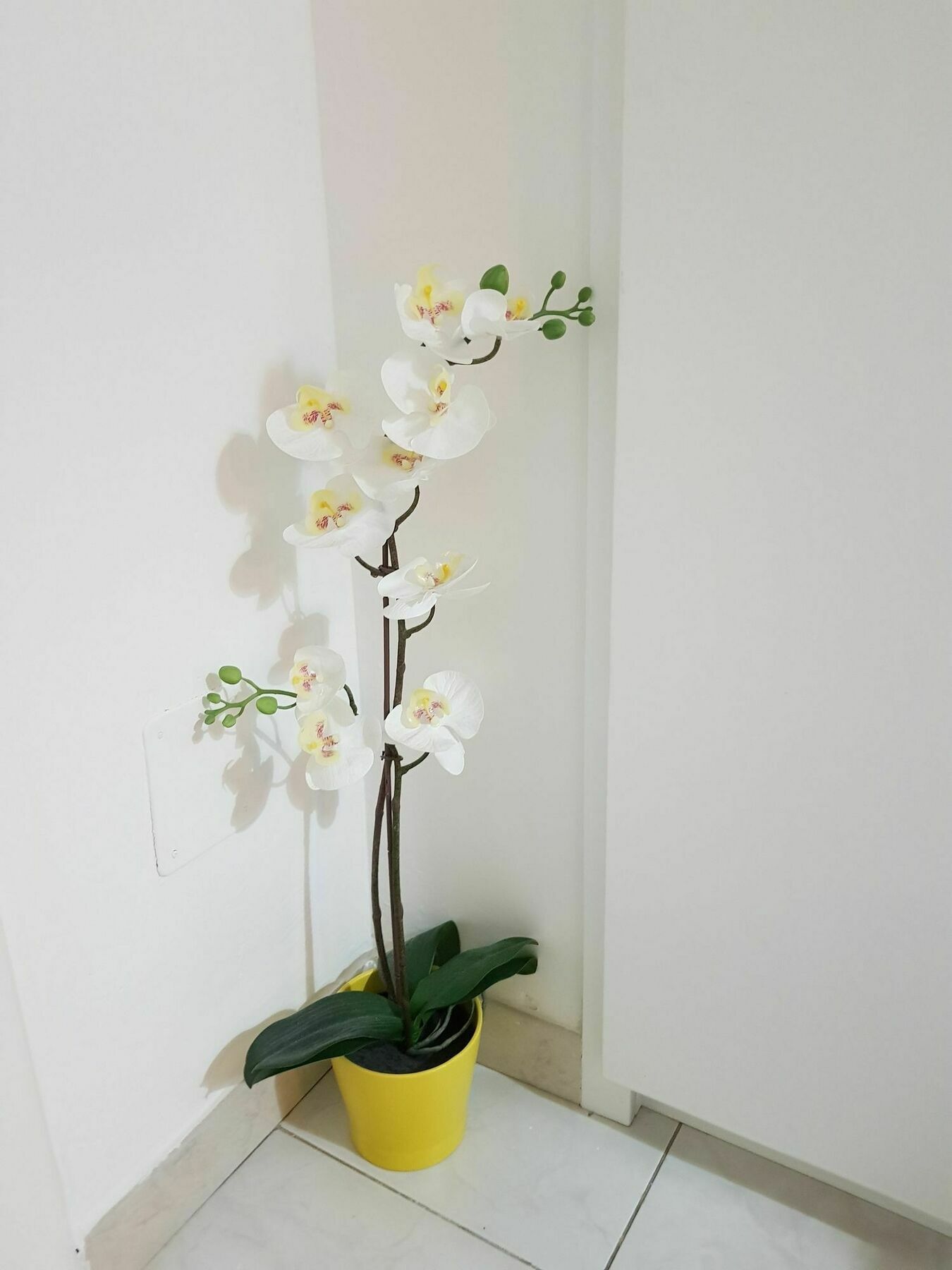 Happy Apartment Lecce Ngoại thất bức ảnh